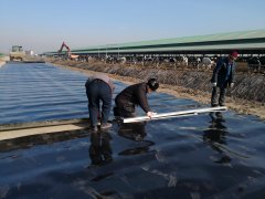 hdpe土工膜與復(fù)合土工膜該如何選擇