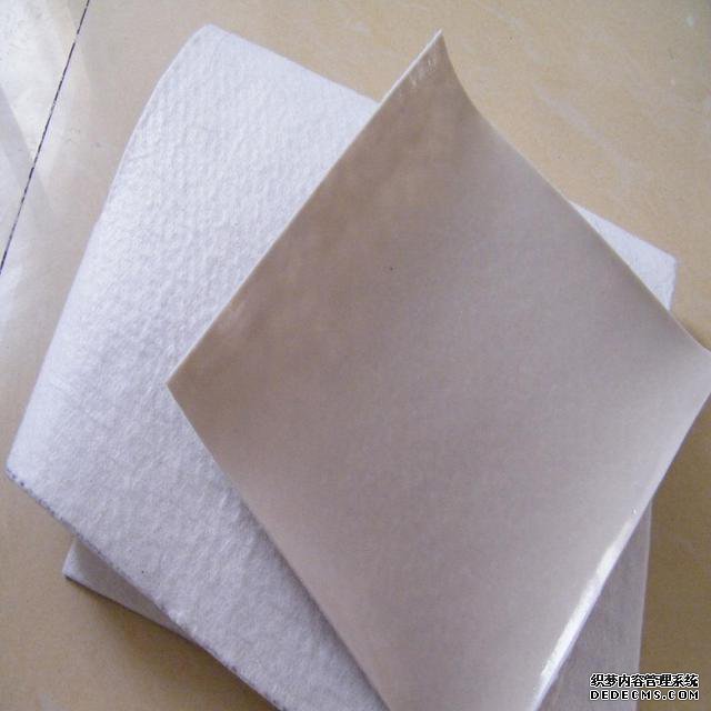復(fù)合土工膜.jpg